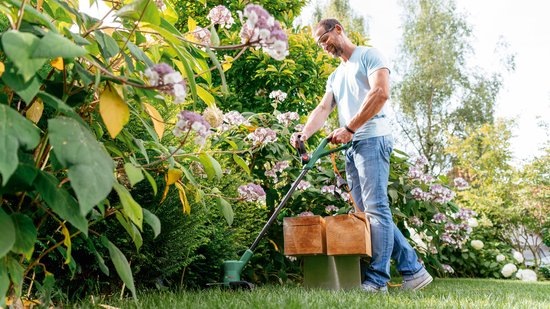 Man in blauw T-shirt trimt gras in een tuin met de Bosch grastrimmer, bij een struik met bloemen.