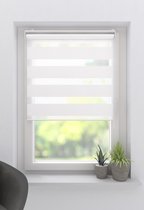 Duo Rolgordijn Splendid Open Lichtdoorlatend White 80x210