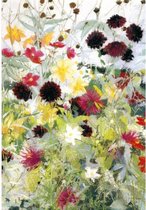 Ansichtkaart Dahlia's in tinten  (J. Hudig) - 10,5x15x0,5 cm - 5 stuks - Groot Brittanië - Ecostory