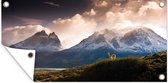 Schuttingposter Lama in Andesgebergte - 200x100 cm - Tuindoek