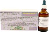 World of herbs fytotherapie haren vachtversterking 50 ml