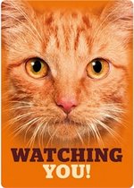 Plenty gifts waakbord blik rode kat watching you