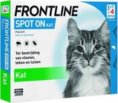 Frontline Spot On - Kat -Tegen vlooien en teken - 4 pipetten