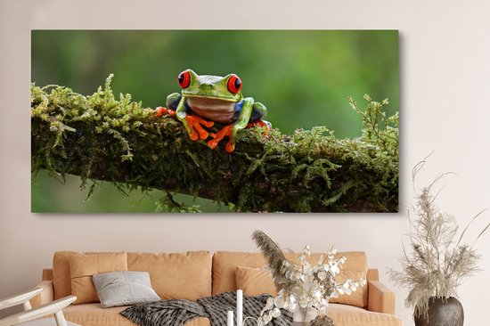Peinture sur toile Grenouille aux yeux rouges sur une branche couverte - 160x80 cm - Décoration murale