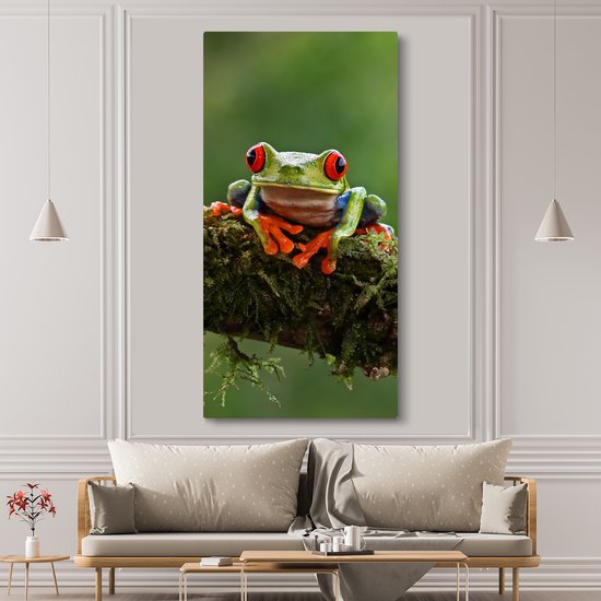 Peinture sur toile Grenouille aux yeux rouges sur une branche couverte - 80x160 cm - Décoration murale