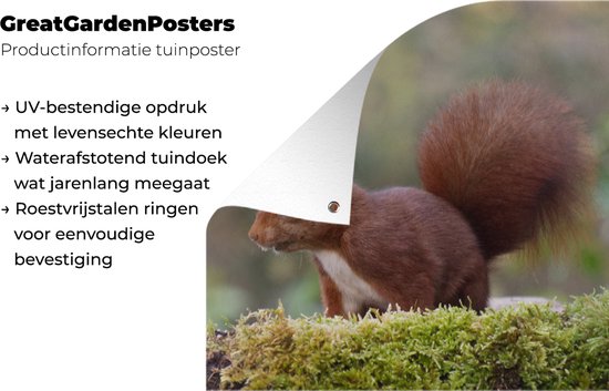 Affiche de jardin Animaux de la forêt - Water - Mousse - 40x80 cm