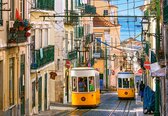 Lisbon Trams Portugal - 1000 stukjes