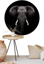 Behangcirkel Dark elephant | ⌀ 140 cm | Wandecoratie | Wandcirkel