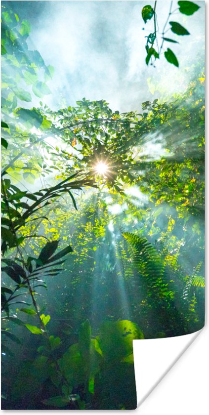Poster De zon schijnend door de bossen van een regenwoud in Maleisië - 60x120 cm