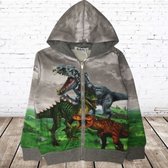 Gaaf vest met dino H167 -s&C-110/116-Jongens vest