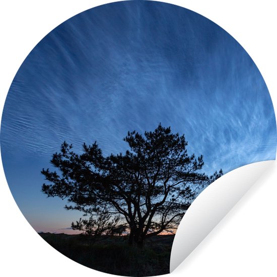 Wallpaper Circle - Lever de soleil sur Ameland et la silhouette d'un arbre - ⌀ 30 cm - Wall Circle - Auto-adhésif - Round Wallpaper Sticker