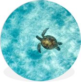 WallCircle - Wandcirkel ⌀ 60 - Schildpad in de zee - Ronde schilderijen woonkamer - Wandbord rond - Muurdecoratie cirkel - Kamer decoratie binnen - Wanddecoratie muurcirkel - Woonaccessoires