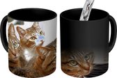 Magische Mok - Foto op Warmte Mok - Kat - Katten - Bruin - 350 ML