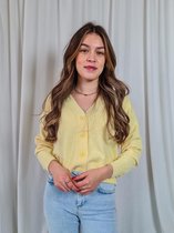 Vero Moda VMDOFFY LS V-NECK BUTTON CARDIGAN - Lemo Yellow