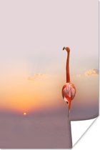 Poster Flamingo poserend in water - 120x180 cm XXL