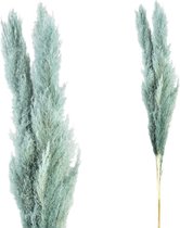 PTMD Dried Twig Pampas Gras - 65 x 7 x 110 cm - 3 stuks - Pacific Blauw