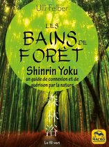 Le Fil Vert - Bains de forêt - Shinrin Yoku