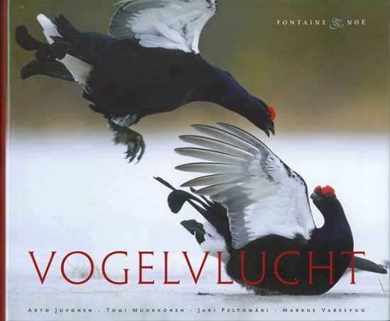 Cover van het boek 'Vogelvlucht' van Arto Juvonen