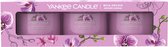 Yankee Candle Filled Votive 3-pack - Wild Orchid