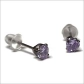 Aramat jewels ® - Zirkonia zweerknopjes hartje 4mm oorbellen lila chirurgisch staal
