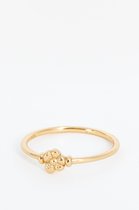 Sissy-Boy - Gold plated poppy flower ring