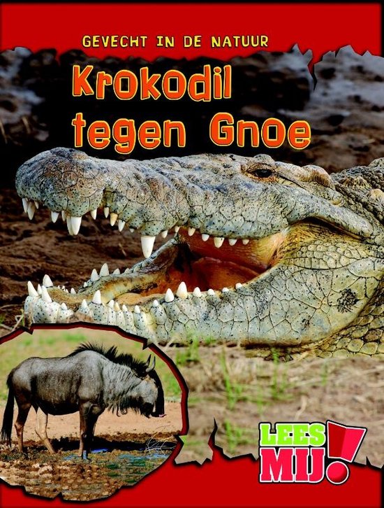 Krokodil tegen gnoe
