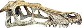 RAPTOR SCHEDEL L