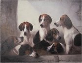 Canvasschilderij 80*3*60 cm Bruin, Wit Canvas Honden Schilderij Wanddecoratie
