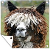 Tuinposters Alpaca - Vacht - Bruin - 50x50 cm - Tuindoek - Buitenposter