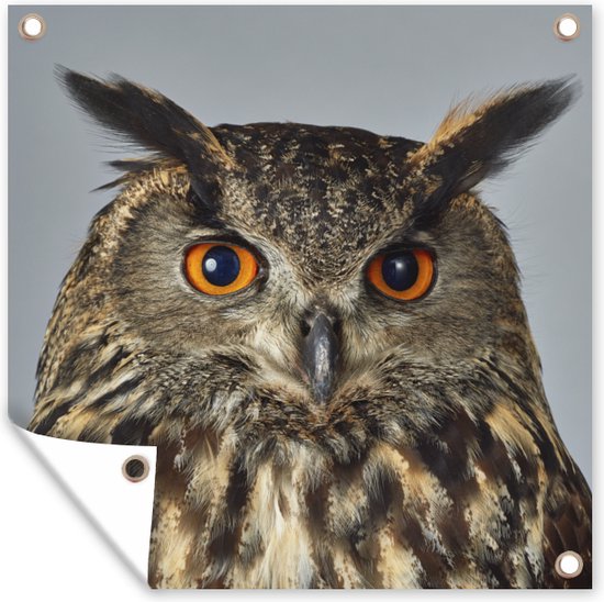 Tuindoek Bruine uil met lichtblauwe achtergrond - 100x100 cm