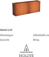 Cortenstaal Akelei L24 Rechthoek 200x40x80 cm. Plantenbak