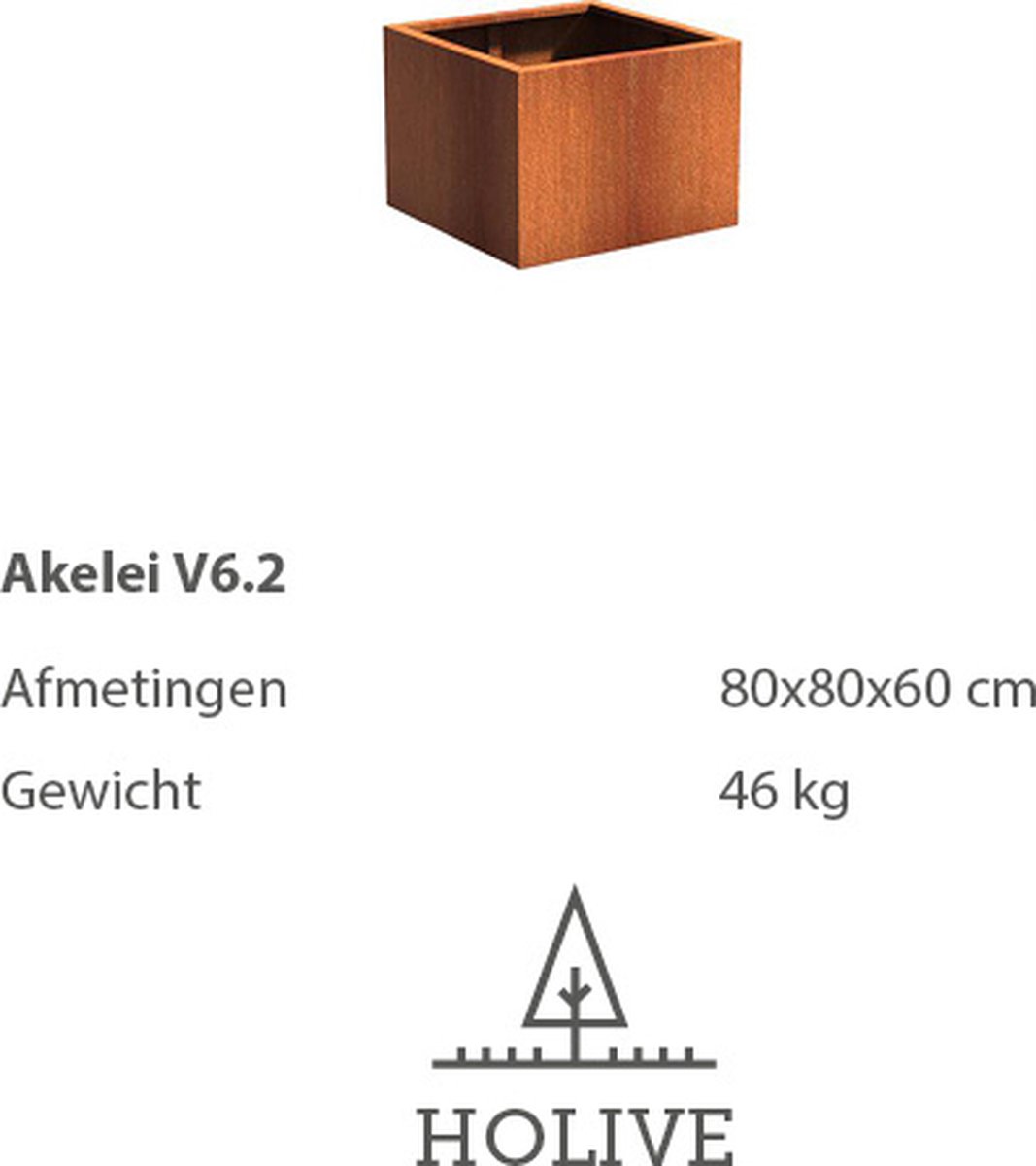 Cortenstaal Akelei V6.2 Vierkant 80x80x60 cm. Plantenbak