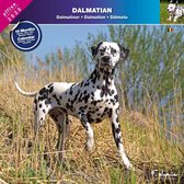Dalmatier Kalender 2023