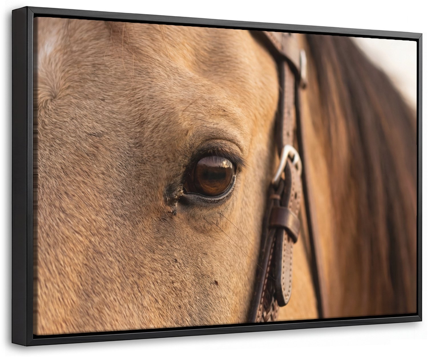 Canvas Schilderij met Baklijst 60x40cm - Pferd - Auge - Braun - Muurdecoratie woonkamer - Slaapkamer decoratie - Kamer accessoires - Schilderijen op canvas met lijst