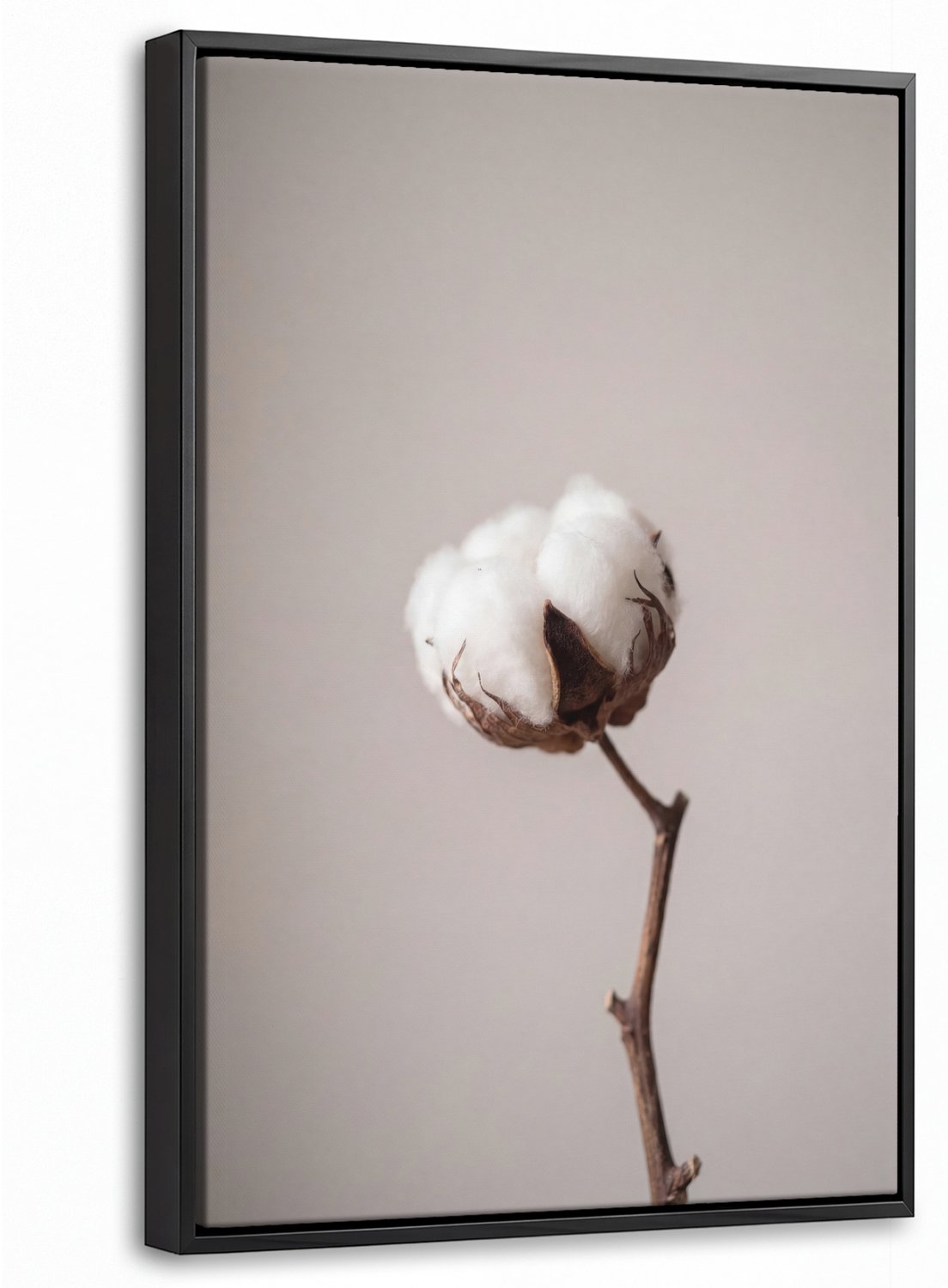 Canvas Schilderij met Baklijst 40x60cm - Katoenbol - Minimalistisch - Wit - Muurdecoratie woonkamer - Slaapkamer decoratie - Kamer accessoires - Schilderijen op canvas met lijst