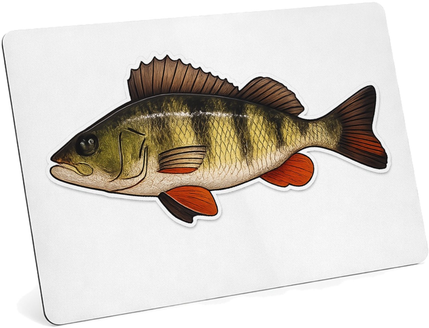 Mr Cadeautjes MDF magnetische fotolijst 28 x 19 - design Grafische salamander op rotsrand | cadeau Wit