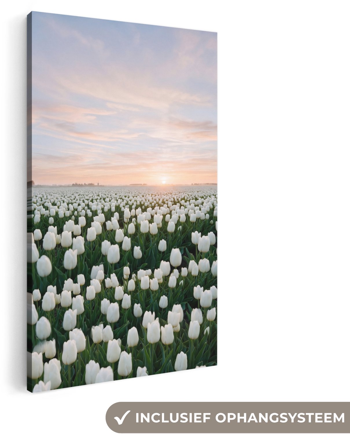 Canvas schilderij 80x160 cm - Exclusieve wanddecoratie Tulpen - Landschap - Wit - Muurdecoratie woonkamer - Slaapkamer decoratie - Kamer accessoires - Schilderijen op canvas groot XXL