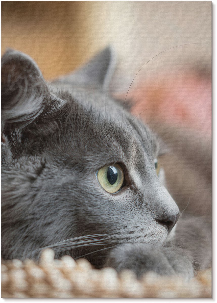 Tulup Polycanvas Wandposter - Grijze Kat, Fotografie - A4 - Grijs Illustratie - Rechthoek - Canvasposter - Woonkamer, Slaapkamer, Kantoor - Klassiek
