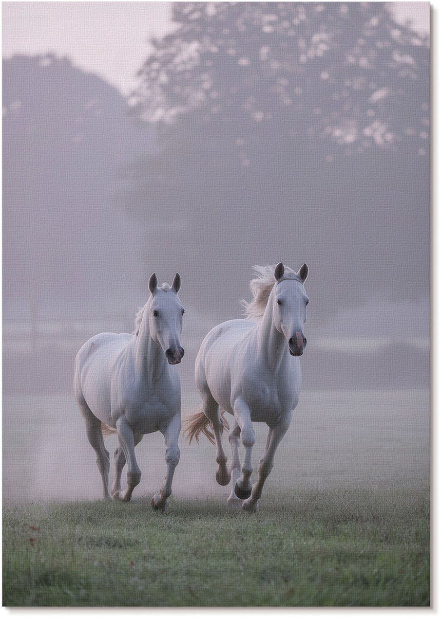 Tulup Polycanvas Wandposter - Galopperende Paarden, Fotografie - A4 - Wit Design - Rechthoek - Wandkunstwerk - Woonkamer, Slaapkamer, Kantoor - Klassiek