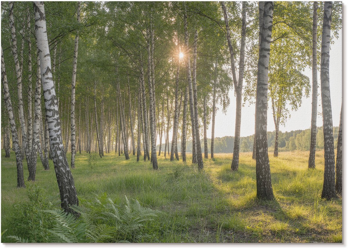 Tulup Polycanvas Wandposter - Herfststeeg, Fotografie - A1 - Blauw Design - Rechthoek - Canvasposter - Woonkamer - Klassiek