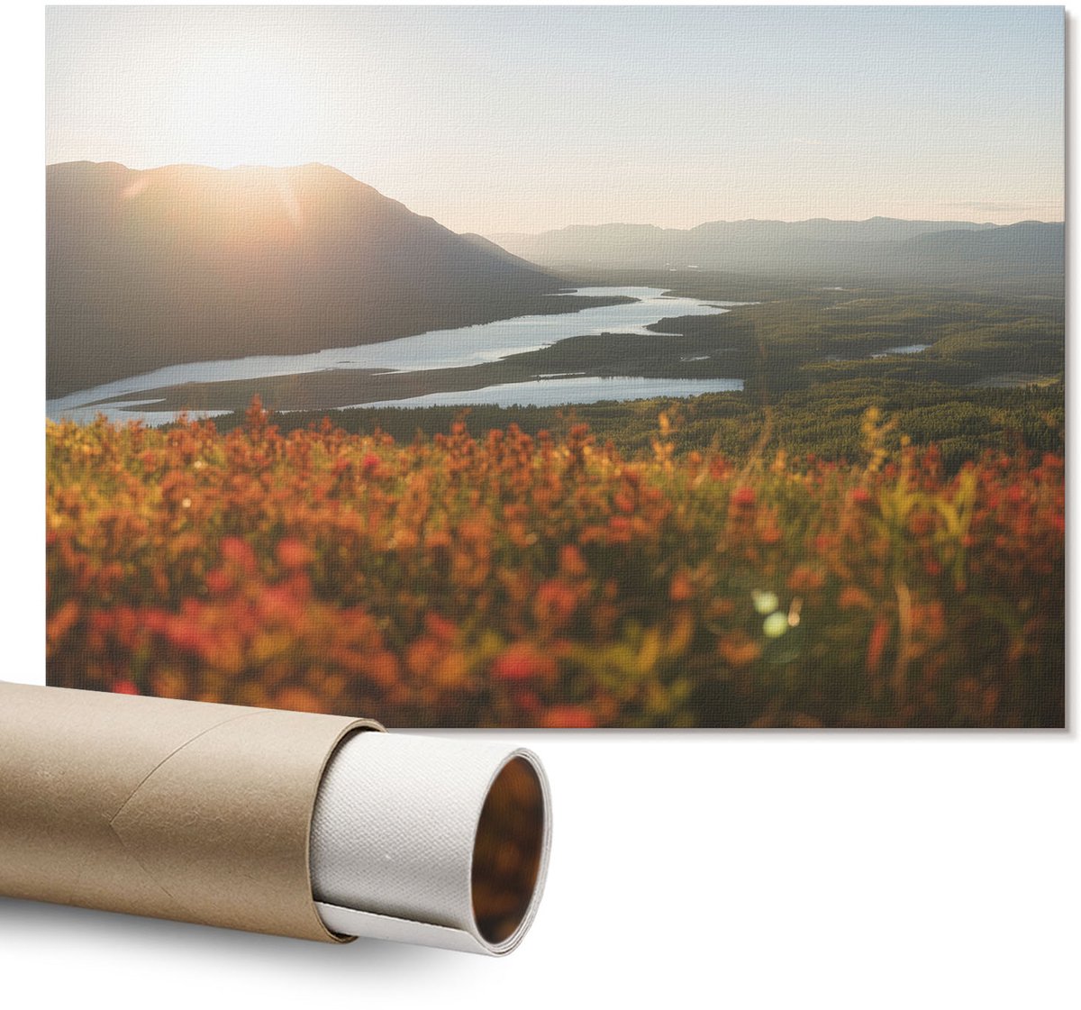 Coloray Canvas Poster Polycanvas - Kattenkoffie, Illustratie - A1 - Oranje Decoratie - Rechthoek - Decoratieve poster - Kantoor - Popcultuur