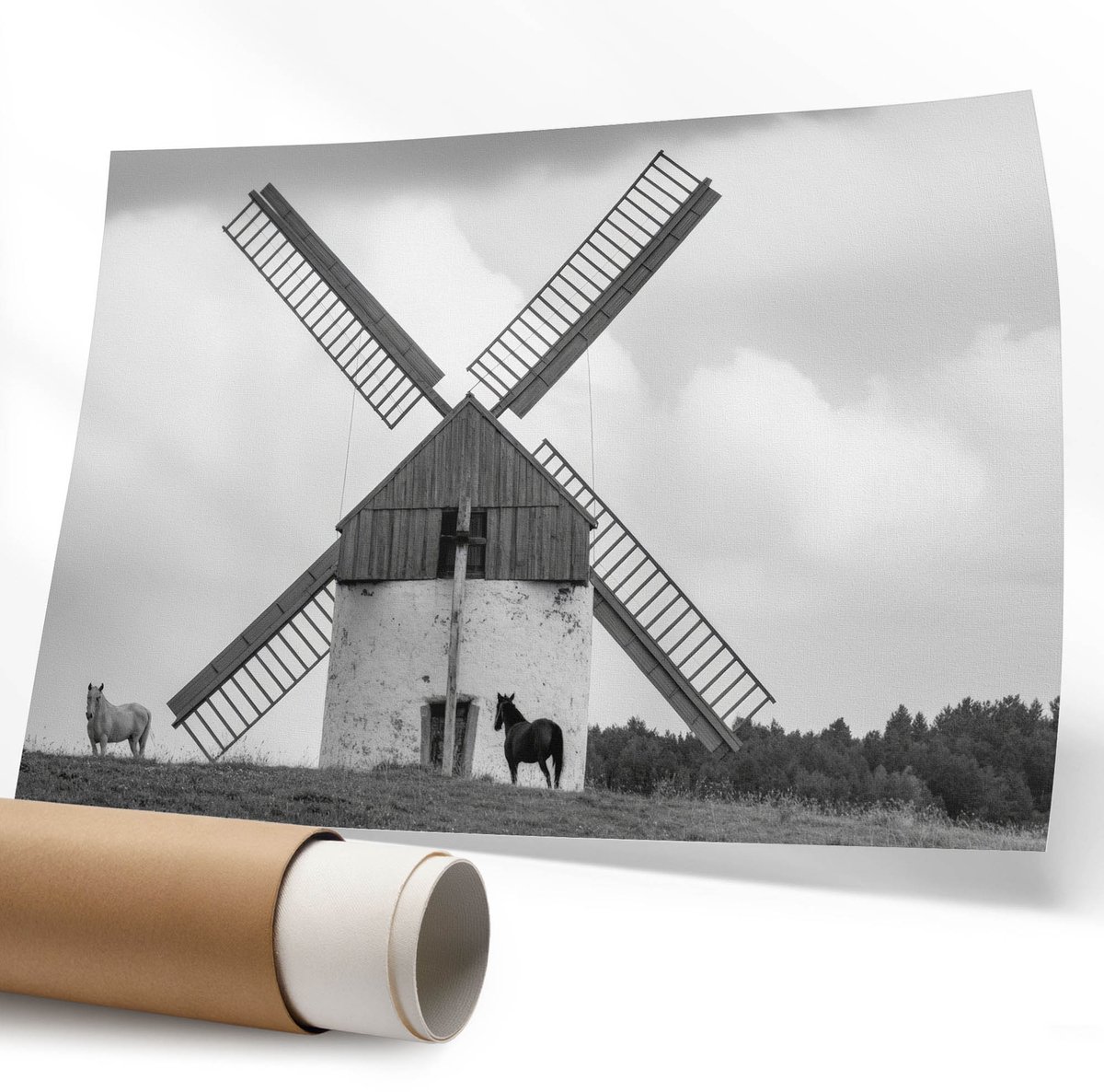 Coloray Polycanvas Wandposter - Bosvruchten, Fotografie - 594 x 840 mm - Groen Illustratie - Rechthoek - Canvasposter - Woonkamer - Rustiek