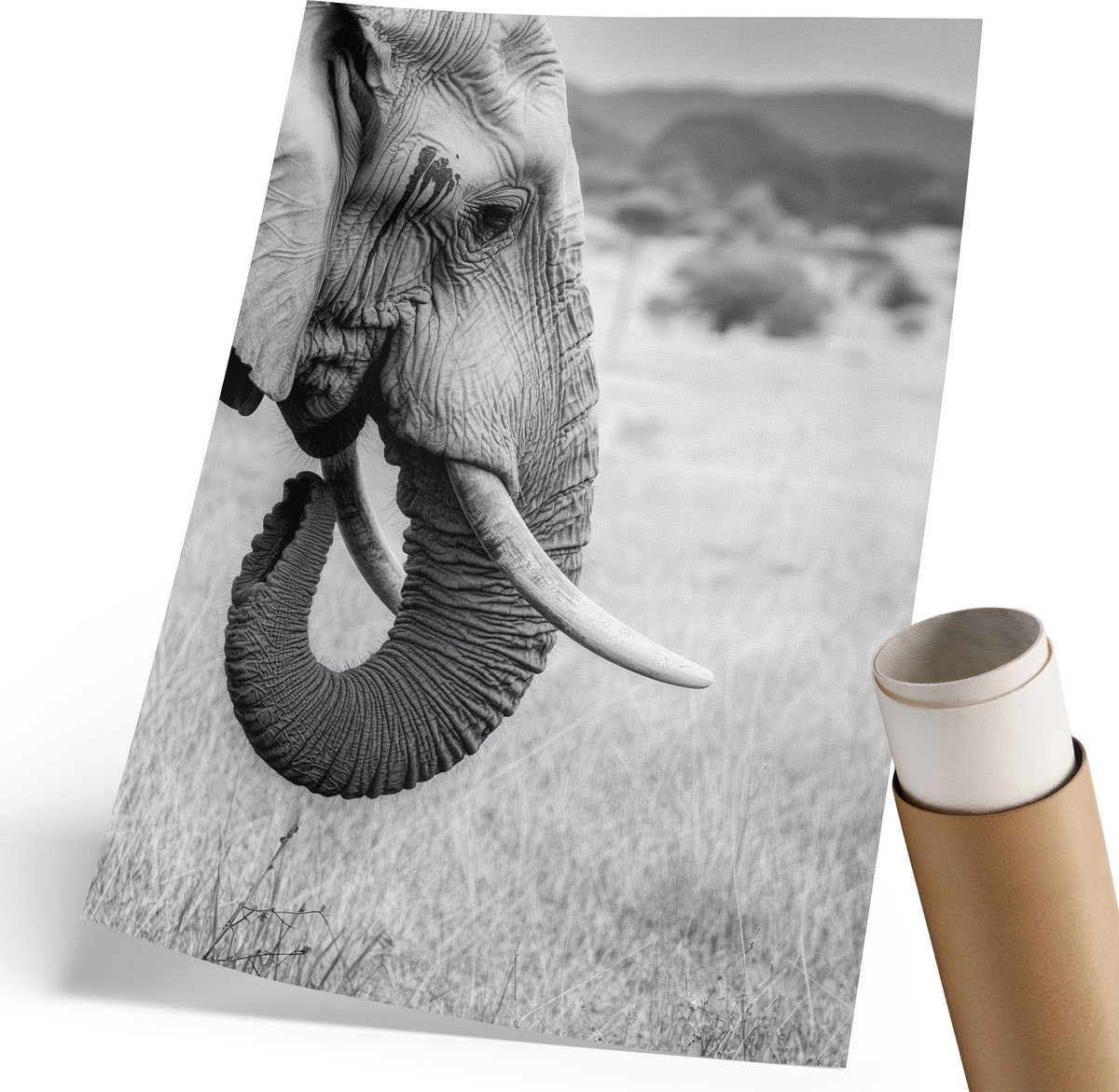 Coloray Polycanvas Wandposter - Brug Met Zeilboten, Blauw - 210 x 297 mm - Zwart-wit Design - Rechthoek - Canvasposter - Woonkamer - Klassiek