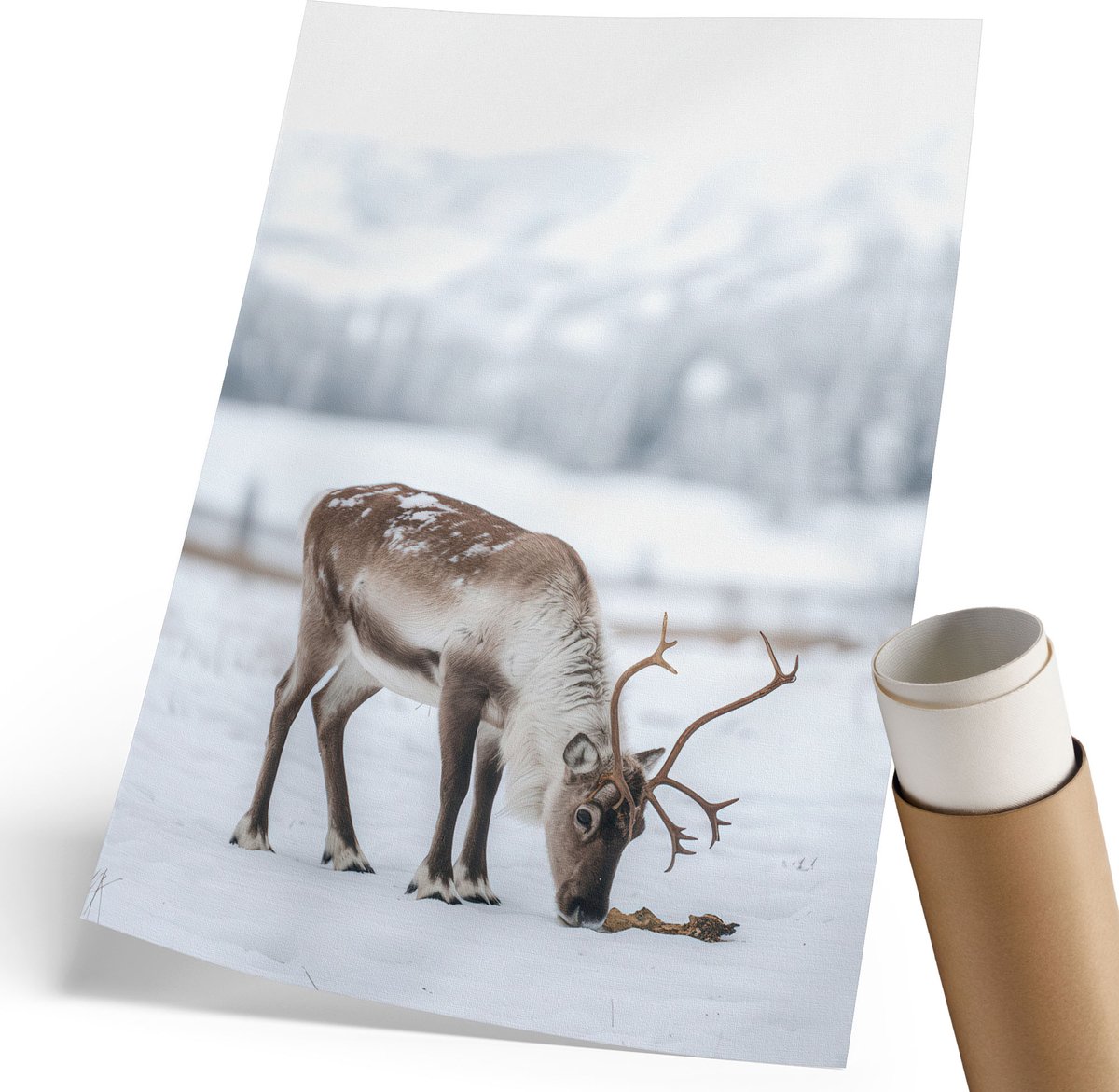 Coloray Polycanvas Wandposter - Winterrendieren, Fotografie - 210 x 297 mm - Wit Motief - Rechthoek - Wandkunstwerk - Woonkamer, Slaapkamer, Kantoor - Modern