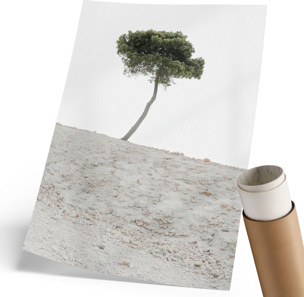 Coloray Polycanvas Poster - Eenzame Boom, Fotografie - 210 x 297 mm - Wit Motief - Rechthoek - Muurdecoratie - Woonkamer, Slaapkamer, Kantoor - Minimalist