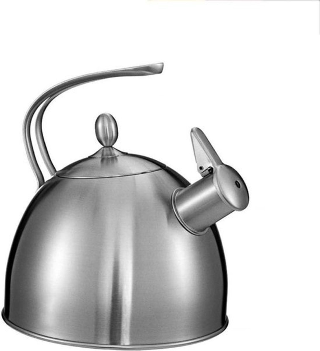 Waterkoker Roestvrij Staal - Theepot Fluitketel - Water Koken - Verdikte Bodem - Niet gespecificeerd - Zilver