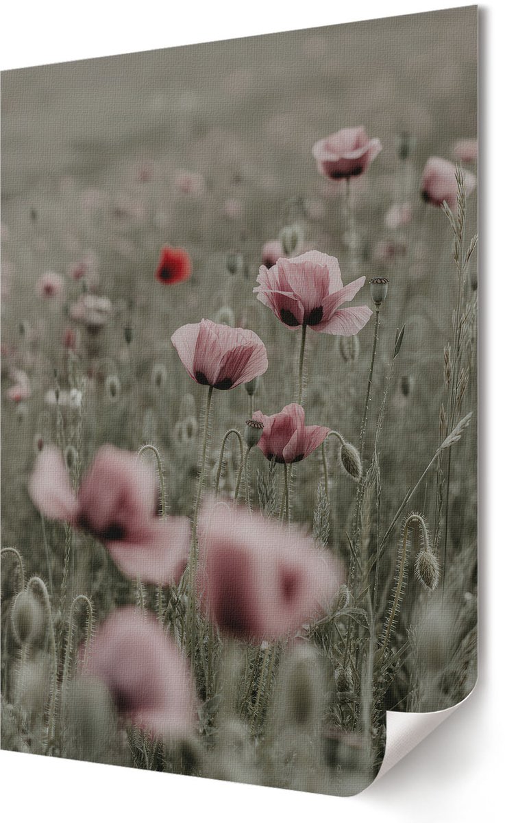 Coloray Polycanvas Wandposter - Huisje Aan Het Water, Fotografie - A2 - Bruin Motief - Rechthoek - Muurkunst - Woonkamer, Slaapkamer, Kantoor - Minimalist