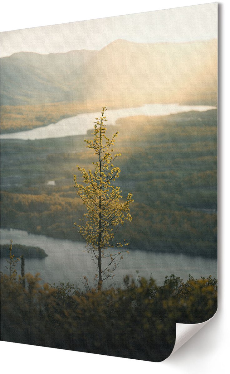 Coloray Polycanvas Wandposter - Winterlandschap, Blauw - A2 - Blauw Design - Rechthoek - Wandkunstwerk - Woonkamer - Klassiek