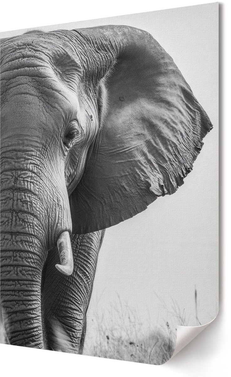 Coloray Polycanvas Wandposter - Olifantenkop, Fotografie - 594 x 840 - Zwart-wit Patroon - Rechthoek - Interieurdecoratie - Kantoor - Klassiek