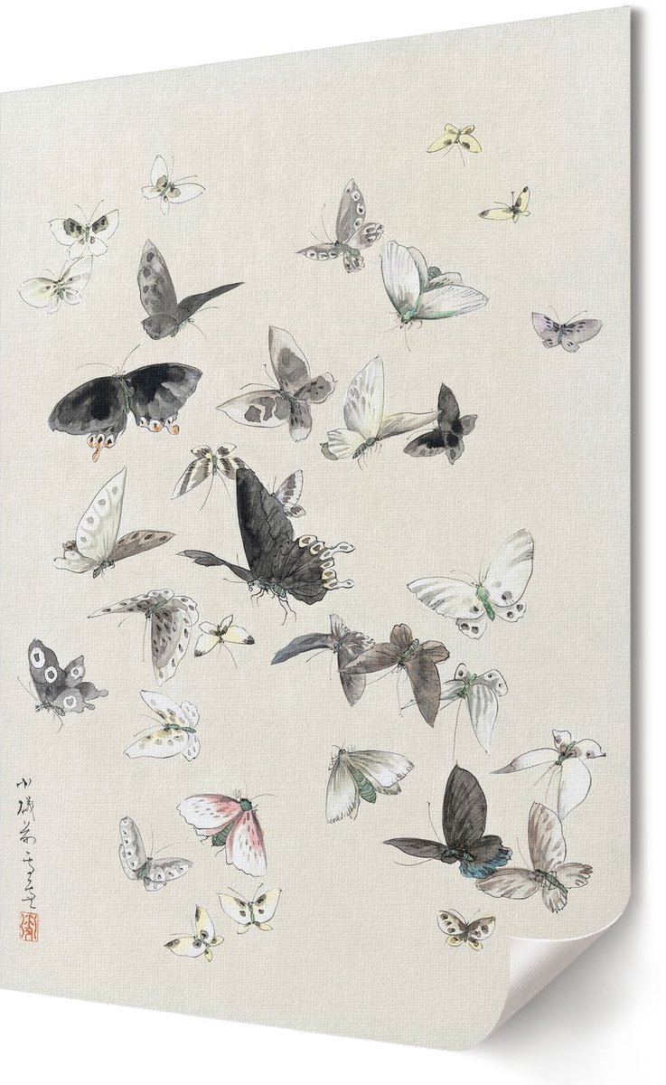 Coloray Canvas Poster Polycanvas - Vlinders En Motten, Waterverf - 420 x 594 - Wit Poster - Rechthoek - Muurdecoratie - Woonkamer, Slaapkamer, Kantoor - Japanse